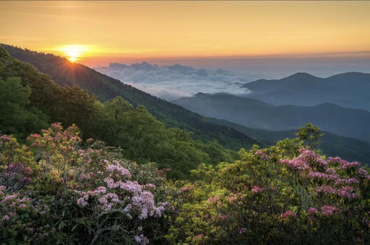 Dogwood Blossom Cottage Asheville Luaran gambar